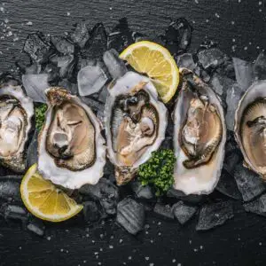 Fresh Oysters