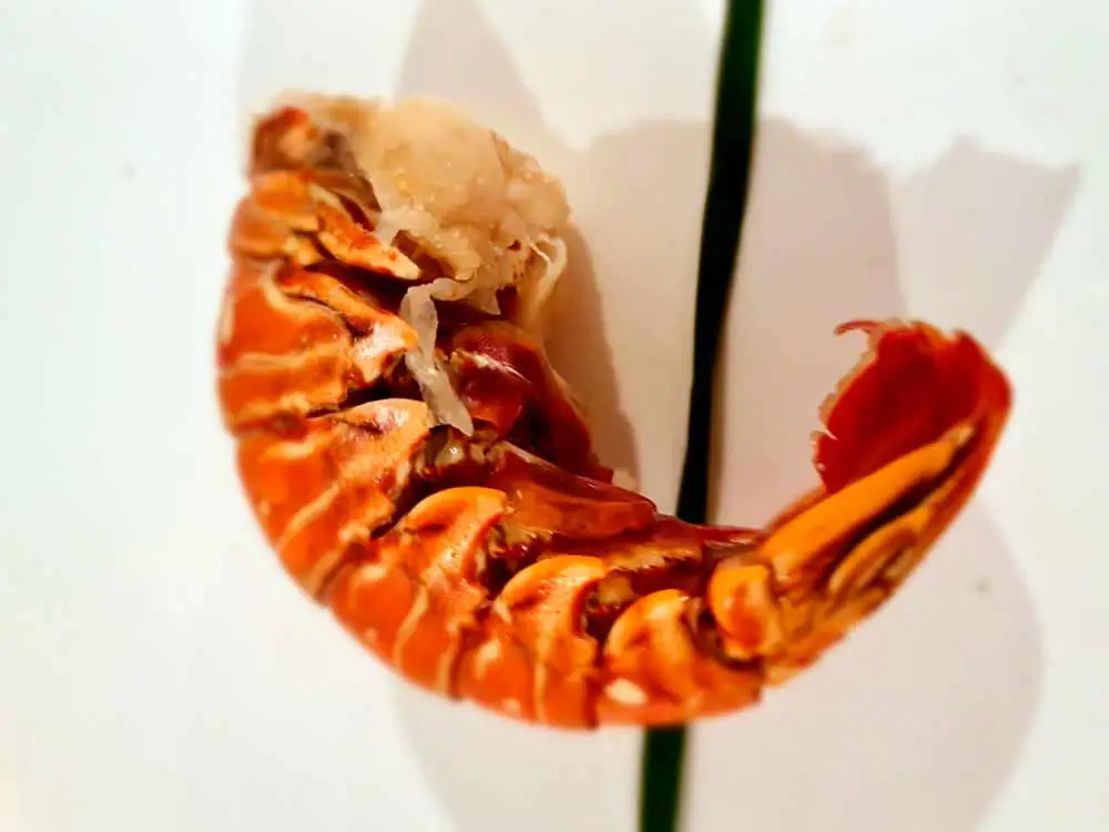 Frozen Lobster Tail